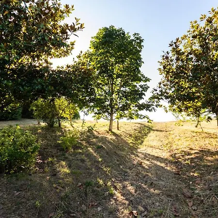 Casa Vaz * A Estrada