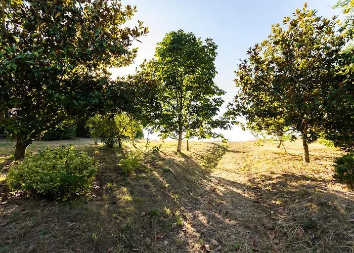 Casa Vaz * A Estrada