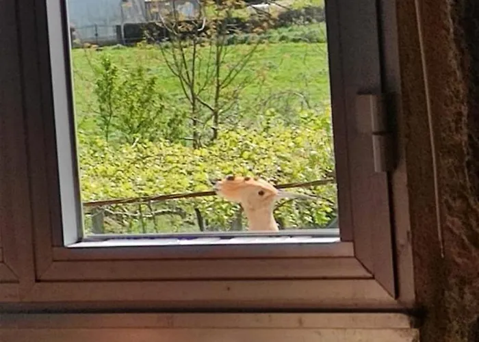 Casa Vaz Tatil Evi *